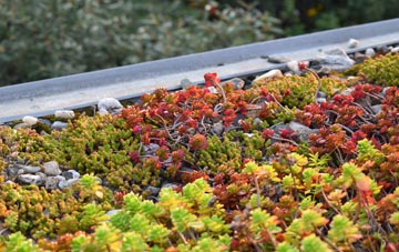 the cost of Kings Langley green roof installation