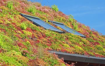Kings Langley living roof systems