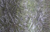 Kings Langley fibreglass roof work